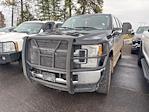 2017 Ford F-250 Crew Cab 4WD Pickup for sale #4D73912 - photo 1