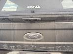 2017 Ford F-250 Crew Cab 4WD Pickup for sale #4D73912 - photo 13