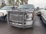 2017 Ford F-250 Crew Cab 4WD Pickup for sale #4D73912 - photo 2