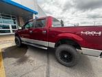 2013 Ford F-150 SuperCrew Cab 4x4 Pickup for sale #4D77791 - photo 10
