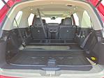 2024 Honda Pilot AWD SUV for sale #4023301 - photo 19