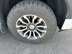 2020 GMC Sierra 1500 Crew Cab 4WD Pickup for sale #4103165 - photo 6