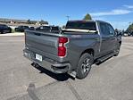 2023 Chevrolet Silverado 1500 Crew Cab 4x4 Pickup for sale #4161905 - photo 6