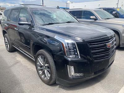 2020 Cadillac Escalade 4WD SUV for sale #4245362 - photo 1