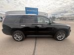 2020 Cadillac Escalade 4WD SUV for sale #4245362 - photo 6