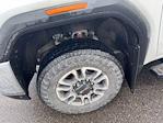 2022 GMC Sierra 3500 Double Cab 4WD Pickup for sale #4346367 - photo 6