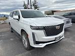 2021 Cadillac Escalade ESV 4WD SUV for sale #4466817 - photo 1