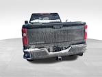 2023 Chevrolet Silverado 3500 Crew Cab 4WD Pickup for sale #4713319 - photo 14