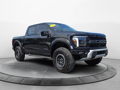 2024 Ford F-150 SuperCrew Cab 4x4 Pickup for sale #4B31363 - photo 1