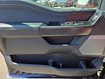2024 Ford F-150 SuperCrew Cab 4x4 Pickup for sale #4B57887 - photo 19