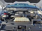 2021 Ford F-150 SuperCrew Cab 4WD Pickup for sale #4B66138 - photo 36