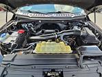 2020 Ford F-150 SuperCrew Cab 4x4 Pickup for sale #4B67738 - photo 40