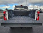 2025 Ford F-350 Crew Cab SRW 4WD Pickup for sale #4C32006 - photo 16