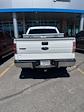 2014 Ford F-150 SuperCrew Cab 4x4 Pickup for sale #4C35364 - photo 3
