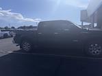 2014 Ford F-150 SuperCrew Cab 4x4 Pickup for sale #4C44022 - photo 11