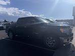 2014 Ford F-150 SuperCrew Cab 4x4 Pickup for sale #4C44022 - photo 12