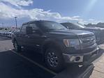2014 Ford F-150 SuperCrew Cab 4x4 Pickup for sale #4C44022 - photo 13