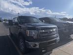 2014 Ford F-150 SuperCrew Cab 4x4 Pickup for sale #4C44022 - photo 14