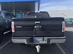 2014 Ford F-150 SuperCrew Cab 4x4 Pickup for sale #4C44022 - photo 7