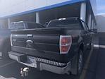 2014 Ford F-150 SuperCrew Cab 4x4 Pickup for sale #4C44022 - photo 8