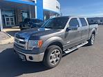 2013 Ford F-150 SuperCrew Cab 4WD Pickup for sale #4C88011 - photo 1