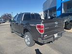 2013 Ford F-150 SuperCrew Cab 4WD Pickup for sale #4C88011 - photo 2
