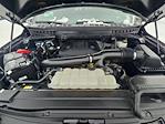 2023 Ford F-150 SuperCrew Cab 4WD Pickup for sale #4D01663 - photo 37