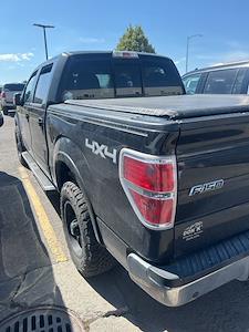 2014 Ford F-150 SuperCrew Cab 4x4 Pickup for sale #4F39293 - photo 2