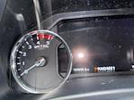 2019 Ford F-350 Crew Cab SRW 4x4 Pickup for sale #4F70345 - photo 3