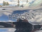 2024 Chevrolet Silverado 3500 Crew Cab 4WD Pickup for sale #8203735 - photo 10
