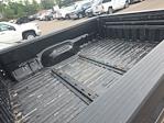 2012 Ford F-250 Crew Cab 4x4 Pickup for sale #CEB54000 - photo 9