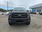 2013 Ford F-150 SuperCrew Cab 4x4 Pickup for sale #DKD25444 - photo 3