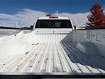 2025 Chevrolet Silverado 3500 Regular Cab SRW 4WD Pickup for sale #SF159443 - photo 6