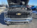 2025 Chevrolet Silverado 3500 Regular Cab 4WD, Pickup for sale #167964 - photo 23