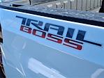 New 2026 Chevrolet Silverado 1500 LT Crew Cab for sale #C205922 - photo 22