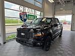 2024 Ford F-150 SuperCrew Cab 4WD, Pickup for sale #F22110 - photo 1