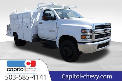 2023 Chevrolet Silverado 5500 Regular Cab DRW RWD, Harbor ComboMaster Combo Body for sale #M826552 - photo 1