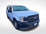 2019 Ford F-150 Regular Cab RWD Pickup for sale #CC36961U - photo 1