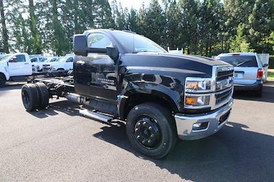 New 2024 Chevrolet Silverado 5500 Work Truck Regular Cab Cab Chassis for sale #M092658 - photo 1