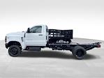 New 2024 Chevrolet Silverado 5500 Work Truck Regular Cab 4WD Cab Chassis for sale #M427479 - photo 13