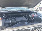 2024 Chevrolet Silverado 3500 Regular Cab SRW 4x4 Pickup for sale #CT41018 - photo 25