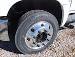 New 2025 Chevrolet Silverado 6500 Regular Cab Cab Chassis for sale #SH175658 - photo 5