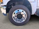 2023 Chevrolet Silverado 6500 Regular Cab DRW RWD Scelzi Dump Truck for sale #V11428 - photo 14