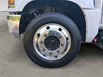2023 Chevrolet Silverado 6500 Regular Cab DRW RWD Morgan Truck Body Box Truck for sale #V11582 - photo 31