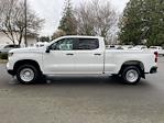 2024 Chevrolet Silverado 1500 Crew Cab 4x4 Pickup for sale #V12073 - photo 19