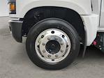 2024 Chevrolet Silverado 6500 Regular Cab DRW RWD Cab Chassis for sale #V12347 - photo 12