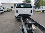 2024 Chevrolet Silverado 6500 Regular Cab DRW RWD Cab Chassis for sale #V12352 - photo 3