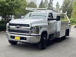 2024 Chevrolet Silverado 5500 Regular Cab DRW RWD, Scelzi CTFB Contractor Truck for sale #V12376 - photo 4