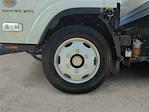 2025 Chevrolet LCF 5500XD Regular Cab RWD Summit Truck Body Box Truck for sale #V12675 - photo 6