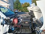2024 Chevrolet Silverado 5500 Crew Cab DRW RWD Scelzi Contractor Truck for sale #V12723 - photo 16